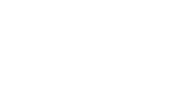 Parthenope Servizi Integrati
